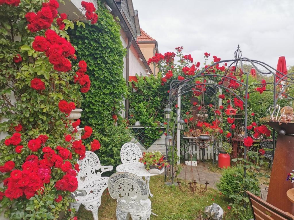 cafesahne u Pension Dranske Exterior foto